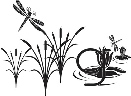 vector illustration  ornamentsのイラスト素材