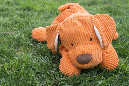 Orange, plush, stuffed animal dog lying on green grass outdoorsの写真素材