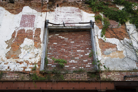 Abandoned warehouse exterior with brick wall, green vines, metal frame, and peeling paint