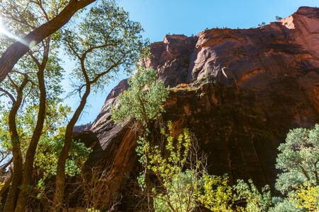 High plateaus, mazes of narrow, deep sandstone canyons and impressive rock formations characterize Zion National Park in southwest Utah.の写真素材