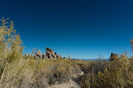 The Mono Lake, a soda lake is particularly alkaline and saline. On the shore and under water, tufa formations in bizarre shapes  can be found.の写真素材