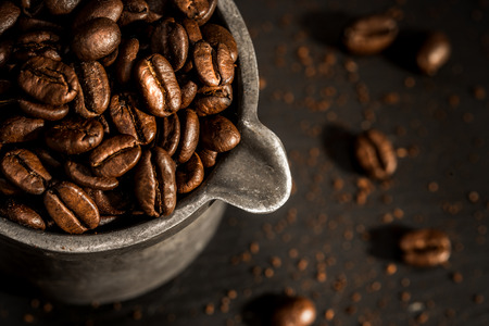 Coffee beans in the early morning lightの写真素材