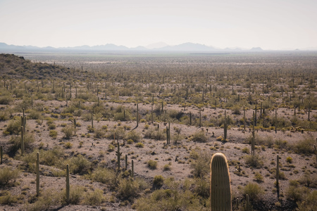 View of the desert landscapeの写真素材