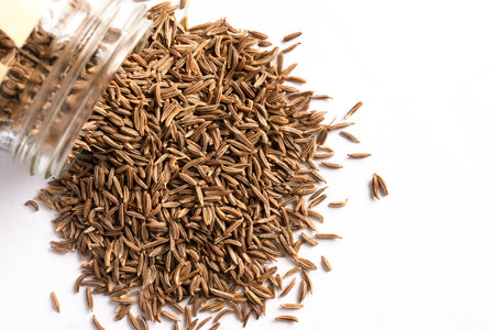 Caraway Seeds Spilled from a Spice Jarの写真素材
