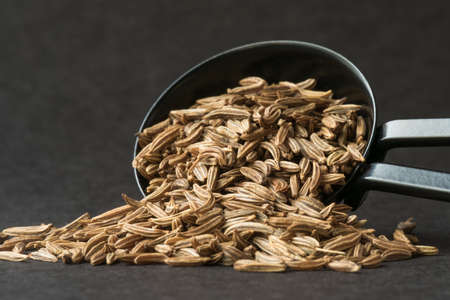 Caraway Seeds Spilled from a Teaspoonの写真素材