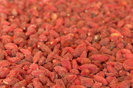 Goji berriesの写真素材