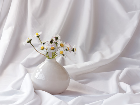 Little wild daisies in a small white vaseの写真素材