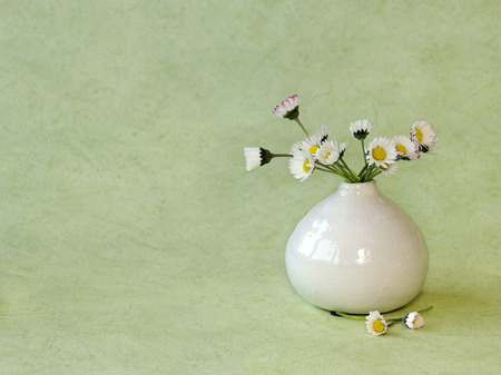 Wild little daisies in a small white vase with a green backgroundの写真素材