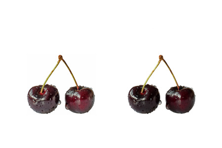 Fresh pairs of cherries with water drops isolated on whiteの写真素材