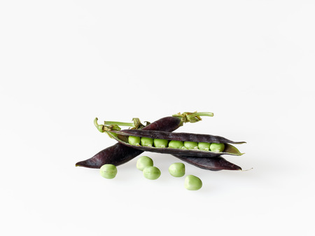 Fresh peas in purple pod  kapucijners の写真素材