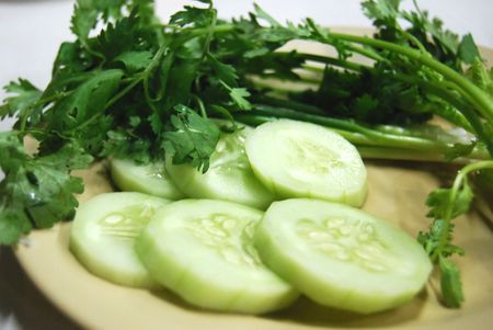 cucumber and celeryの写真素材
