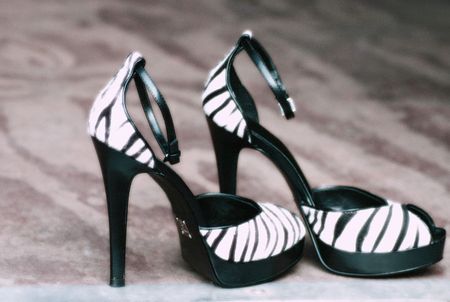 Zebra Print Shoesの写真素材