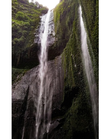 Save Download Preview Madakaripura Waterfall, tallest waterfall in Java island