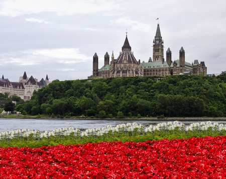 The Canadian Parliament with red and white flowers across the river in Gatineau の写真素材