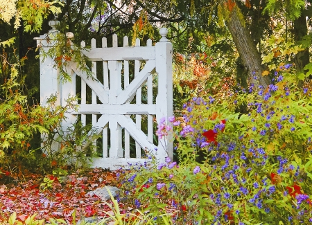 A white wooden gate remains closed amidst the beauty of autumn in cottage country not far from Ottawa, Canada.の写真素材
