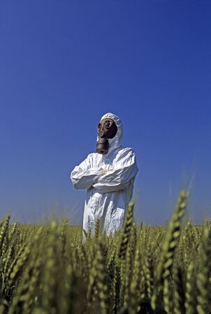 People in chemical protective suit in a wheat fieldの写真素材