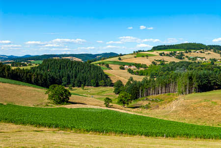 Landscape of the western mountains of the RhÃ´ne department around the village of Ronno in summer