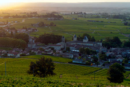 Beaujolais vineyard landscape in the RhÃ´ne department in summer around the village of Saint-Lagerの写真素材