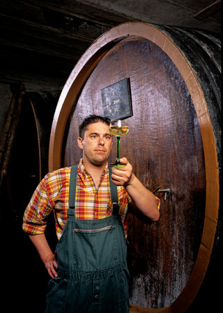 Alsatian winegrower in his cellar tasting white wine