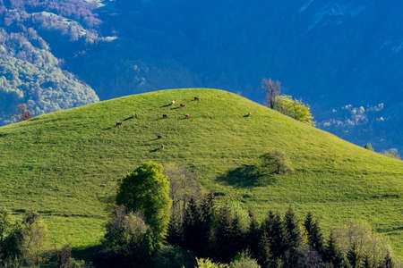 Mountain landscape in the Parc Naturel RÃ©gional des Bauges in the Savoie department in the French...
