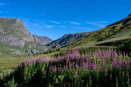 High mountain landscape in the Vanoise National Park in summer in Savoie in France around the Col de l'Iseranの写真素材