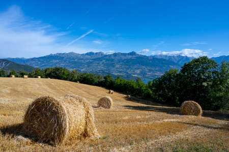 Mountain landscape in the Hautes-Alpes department in the French Alps in summer around the village of Sauze-du-Lac with a harvested field covered with straw balesの写真素材