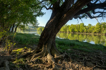 Landscape of the banks of the SaÃ´ne river in spring in the RhÃ´ne department around Fontaines-sur-SaÃ´neの写真素材