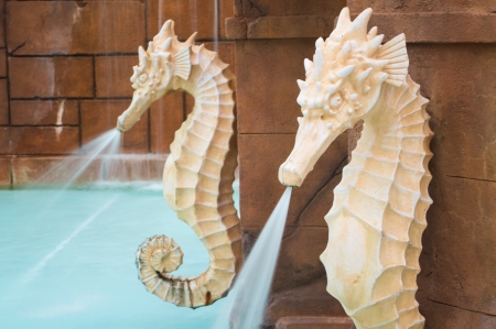 Stone seahorse fountains - has a very tropical, summery, carribean feel  Located poolside in a carribean resortの写真素材