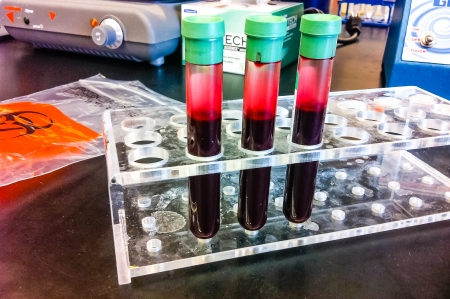 Basic laboratory supplies used in a biology or chemistry wet labの写真素材