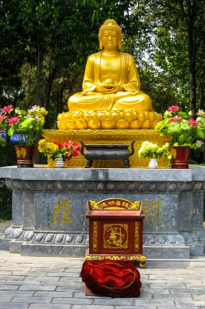 Woman praying in front of a traditional Buddha statueのeditorial素材