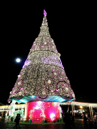 Tallest man made Christmas treeの素材