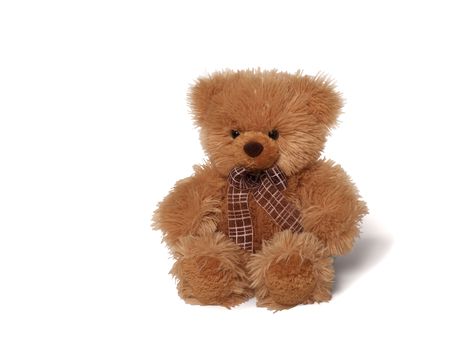 Isolated teddy bear sitting at white background. Soft children toyの写真素材