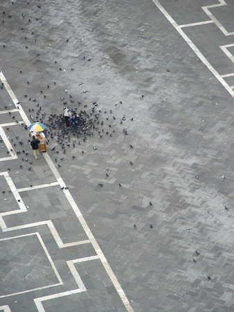 San Marco piazza's birds from the top of towerの写真素材