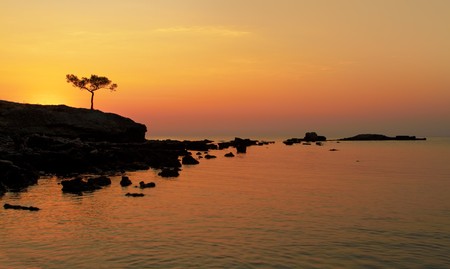 A beautiful Mediterranian sea sunrise with alone pine in the foreground.の写真素材