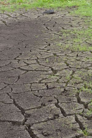 Small lake drying out in the summerの写真素材