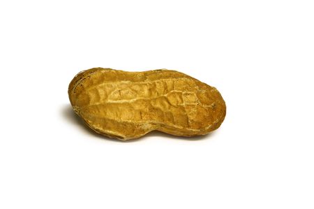 Peanut 