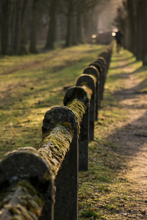 Moss coverd fence Nature Park Green Closs-Upの写真素材