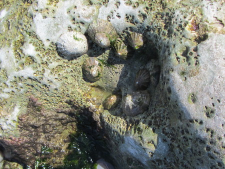 French Coast Line Stone beach sea viewの写真素材