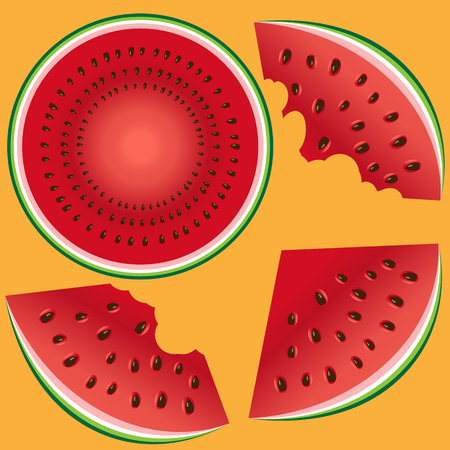 Three slices of a watermelon with stones, the whole, two bitten and a watermelon in a cutのイラスト素材