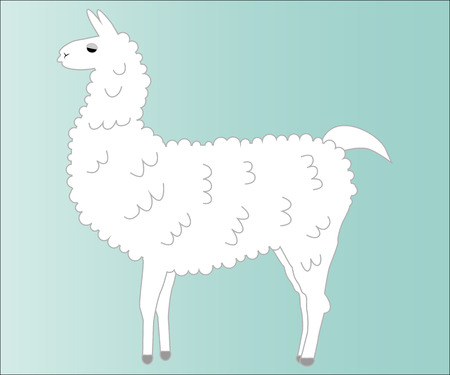 Lama of white coloring, fluffy, fur on a blue backgroundのイラスト素材