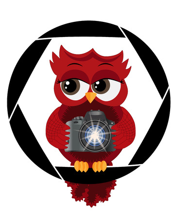 A beautiful cartoon red owl with a camera sits on the camera's diaphragm. Concept photography, vocations, photo businessのイラスト素材