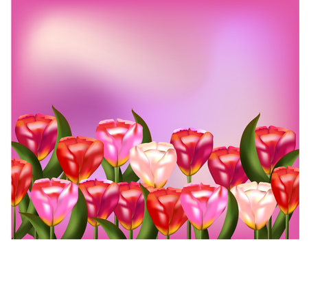 Pink floral delicate background with realistic tulipsのイラスト素材