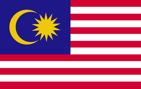 original and simple Malaysia flagのイラスト素材