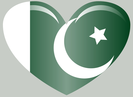 Pakistan flag, official colors and proportion correctly. National Pakistan flag.のイラスト素材