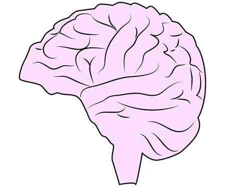 Brain or mind side view line art color icon for medical apps and websites