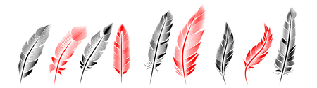 Collection of feather illustration, drawing, engraving, ink line artのイラスト素材