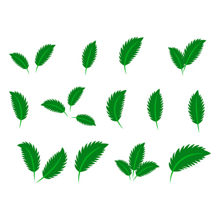 collection with green leaves in flat style for icons and graphic designのイラスト素材