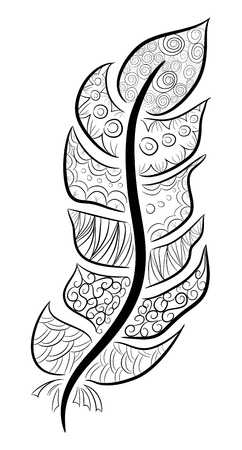 feather illustration, drawing, engraving, ink line artのイラスト素材