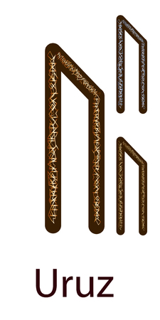 Fleece Uruz. Vertical projection. Scandinavian. Elegant gold and silver embossing on the surface, patternのイラスト素材