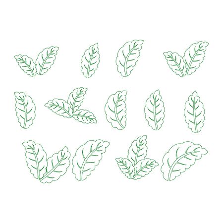 Set of green leaves design elements. Green sprout green leaves symbol vector icon set.のイラスト素材